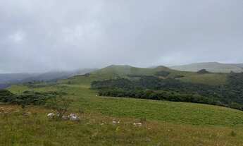 Imagem 3: Área Rural com 166,83ha de área total, para venda. Vacas Gordas, Urubici (SC