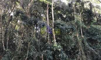 Imagem 2: Lote em Condomínio para comprar RESERVA DAS HORTENCIAS Mairiporã