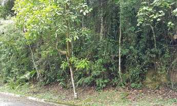 Imagem 2: Apes da Cantareira . 2 Lotes conjugados com mata nativa