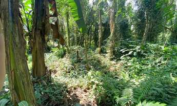 Imagem 5: LOTE PARA CONSTRUÇÃO IMEDIATA EM ITAMAMBUCA, LADO IMPAR