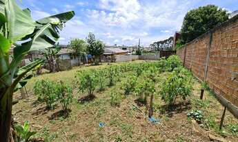 Imagem 4: Terreno em Quatros Barras com 550 metros