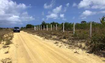 Imagem 2: Terreno carapibus
