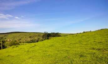 Imagem 3: P.s- Terreno com 1000M a venda no Interior