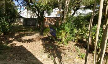 Imagem: Lote para comprar Tremembé São Paulo