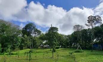 Imagem 3: Belo sítio com açude e arborizado, com frutíferas em Águas claras, confira!