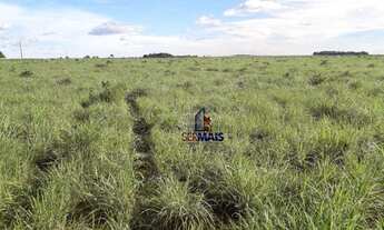 Imagem 3: Fazenda à venda, por R$ 50.000.000 - Centro - Lagoa da Confusão/TO