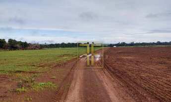 Imagem 1: Fazenda 850 Alqueires, Cristalândia, TO