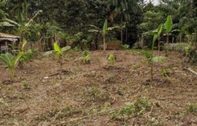 Imagem 2: Terreno agrícola no Riacho doce