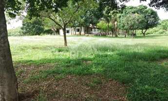 Imagem 5: Fazenda à venda no município de Nossa Senhora do Livramento-MT