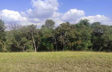 Imagem 4: Lote/Terreno para venda tem 3.000 m² City Castello - Itu - Declive - Vista para Mata - Tra