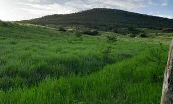 Imagem 3: Terreno a venda Terreno / lote com venda por R$165.000