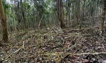Imagem 7: Área para venda na Granja Urupes