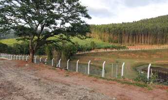 Imagem 2: TERRENO PERTO DA RODIVIA DOM PEDRO