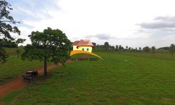 Imagem 7: Fazenda para Venda em Porto Nacional