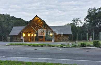 Imagem 2: Canela - Terreno Padrão - Pinheiro Grosso