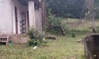 Imagem 6: SITIO RESIDENCIAL em CAMAÇARI - BA, COQUEIROS DE AREMBEPE (ABRANTES