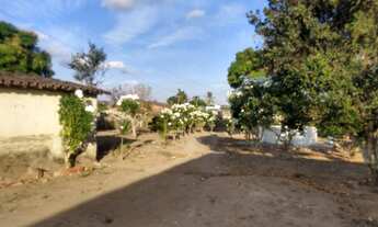 Imagem 5: Oportunidade - Chácara em Paulo Jacinto - Na cidade - aceita permutas por CASA em Maceió