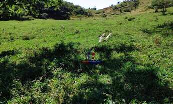 Imagem 6: Sítio à venda, 943800 m² por R$ 1.755.000,00 - Centro - Alta Floresta D'Oeste/RO