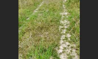 Imagem 4: Propriedade a 13 km de salgado