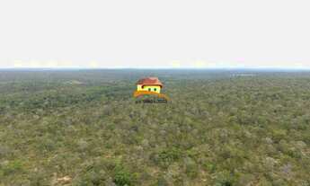 Imagem 7: Fazenda para Venda em Luzinópolis, Vale do Araguaia