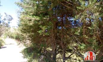 Imagem 7: Belíssima Área em Natividade !