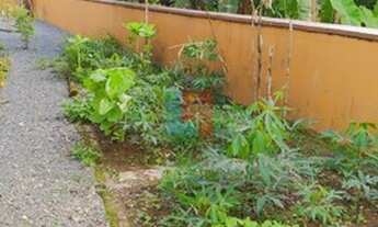 Imagem 6: JOINVILLE - Casa Padrão - Pirabeiraba