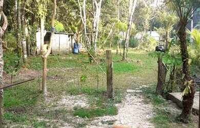 Imagem 2: Casa simples no Guaraú a cerca de 500 metros de distância da Praia. Ref. C1181