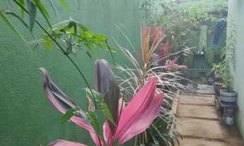 Imagem 4: BELO HORIZONTE - Casa Padrão - Rio Branco