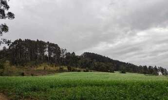 Imagem 6: L33- Barbada do ano !!!!!Excelente Terreno em Rio do Campo/SC