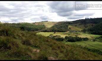 Imagem 5: SÍTIO OLIVEIRAS/CORTE/LEITE - CLIMA MONTANHA - SILVEIRAS - SP