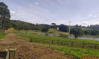 Imagem 4: Fazenda completa em São José dos Pinhais, Agro-indústria em São José dos Pinhais, Área rur