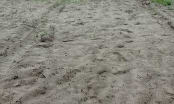 Imagem 6: Vendo ou troco 3 terreno