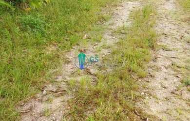 Imagem 6: Vendo terreno de 10.615 m² em Santo Amaro da Imperatriz