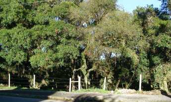 Imagem: Terreno em ótima localização, excelente