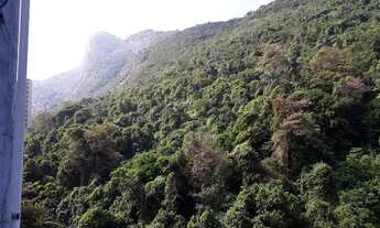 Imagem: APARTAMENTO EM SÃO CONRADO / 93 M2 / VISTA