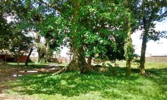 Imagem 5: VENDE-SE TERRENO