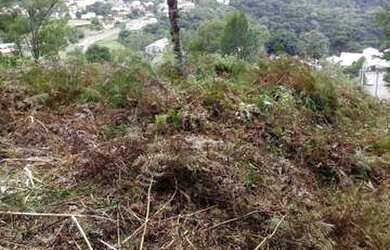Imagem 2: Terreno no bairro Floresta em Gramado!