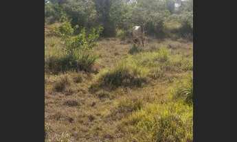 Imagem 2: Propriedade a 13 km de salgado