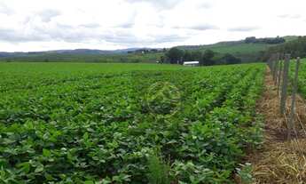 Imagem 2: Fazenda à venda, 2879800 m² por R$ 28.000.000,00 - São Domingos - Marmeleiro/PR