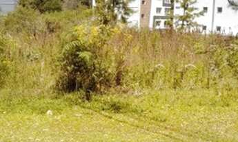 Imagem 2: CAXIAS DO SUL - Terreno Padrão - Villa Horn