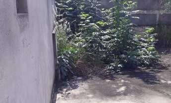 Imagem 2: Casa - Bosque - Campinas