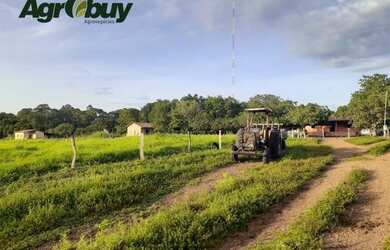 Imagem 2: Fazenda Com 1039 Alqueires Localizada em Santa Rita To