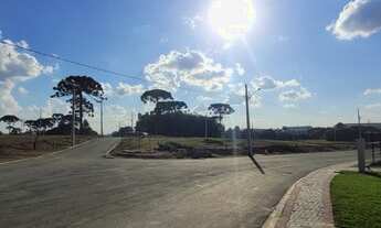 Imagem 2: Terrenos em condomínio fechado em São José dos Pinhais