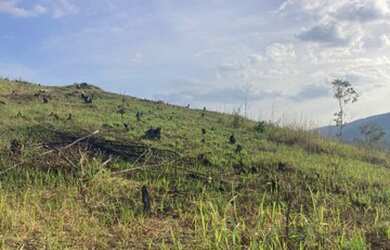 Imagem 4: Interior de sp em oferta