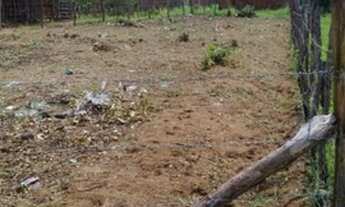 Imagem 5: Terreno em Icapui próximo a escola técnica de 19x42 metros bem localizado!