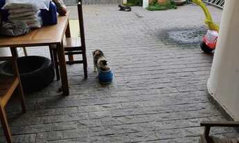 Imagem 6: Casa para venda com 212 m2 com 4 quartos sendo 2 suites em Novo Horizonte - Macaé - RJ