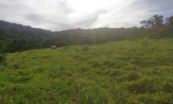 Imagem: Chácara de 2 alqueires em Pirenópolis