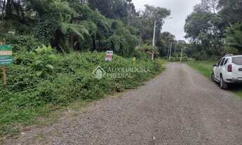 Imagem 5: CANELA - Terreno Padrão - Alpes Verdes
