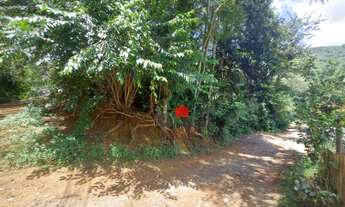 Imagem: Excelente terreno plano no Cônego!