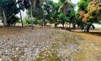 Imagem 7: Terreno em Jacaraípe